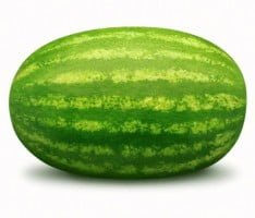 Epic watermelon
